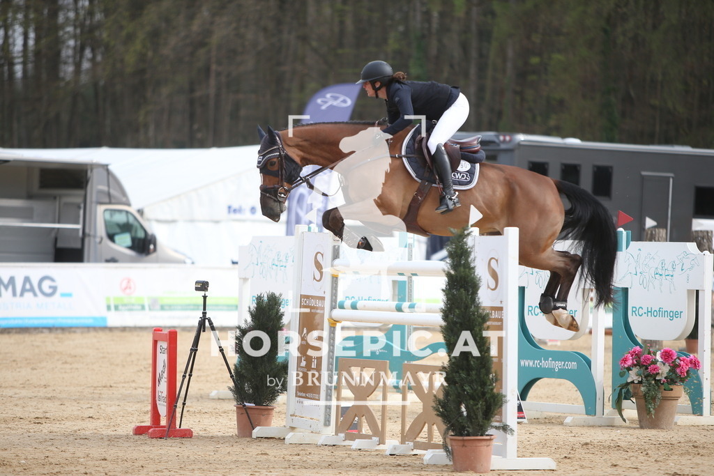 PP018413 | Willkommen bei Brunnmayr - Design & Fotografie – Ihrem Spezialisten für Reitturniere und Pferdeveranstaltungen in Oberösterreich, Salzburg und Bayern! Seit über 17 Jahren sind wir leidenschaftlich dabei.
