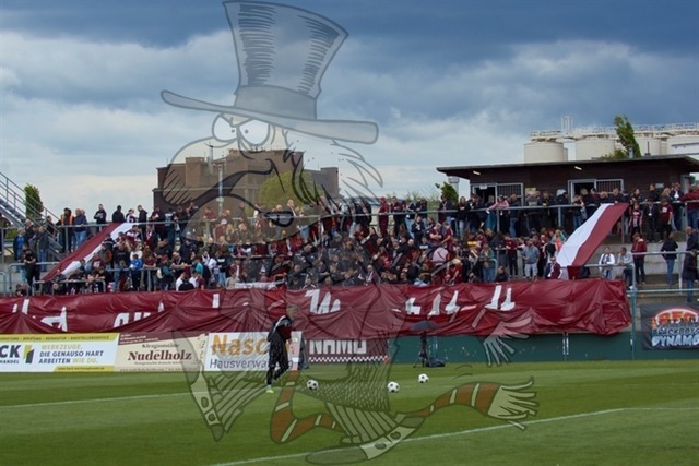 BFC Dynamo vs. FSV Zwickau 001 | mythos-online-redaktion