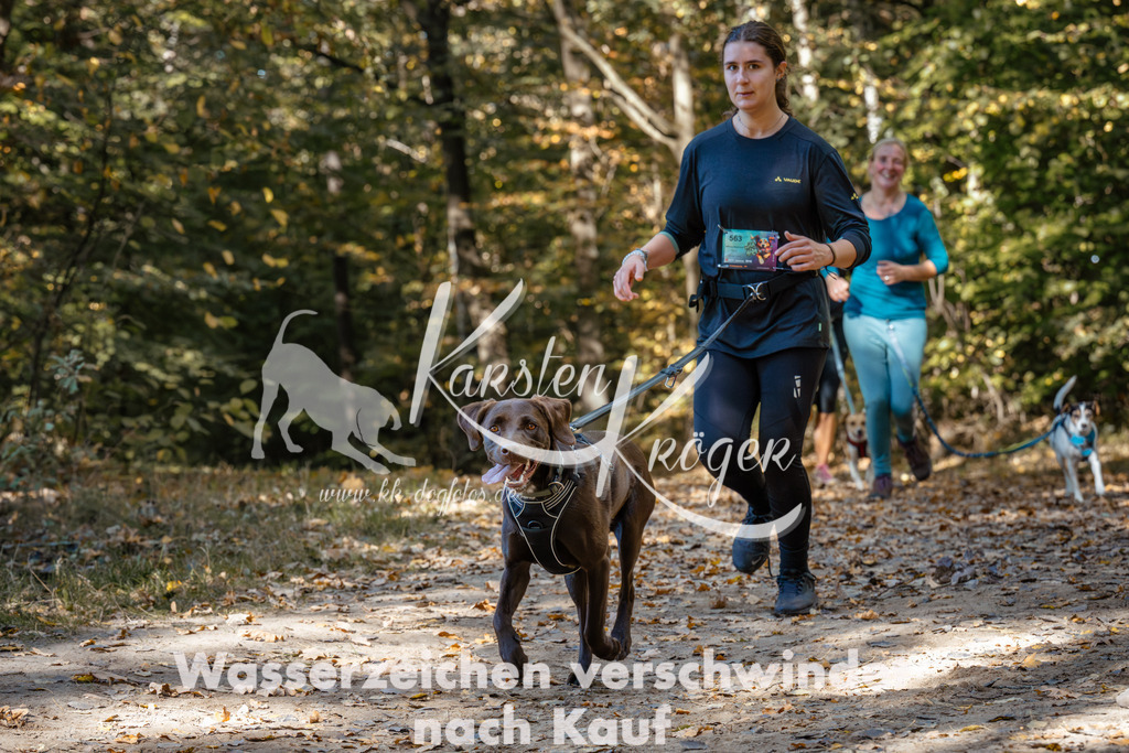 1229_ZZ95347 | kk-dogfotos