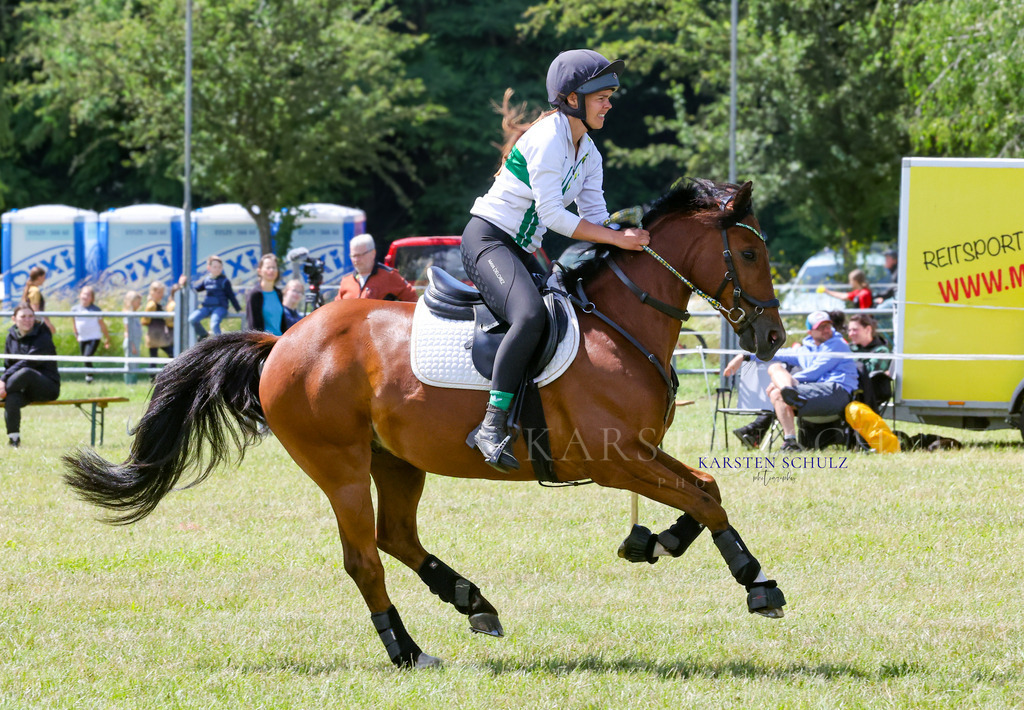 IMG_1602 | Reitsport Reiten