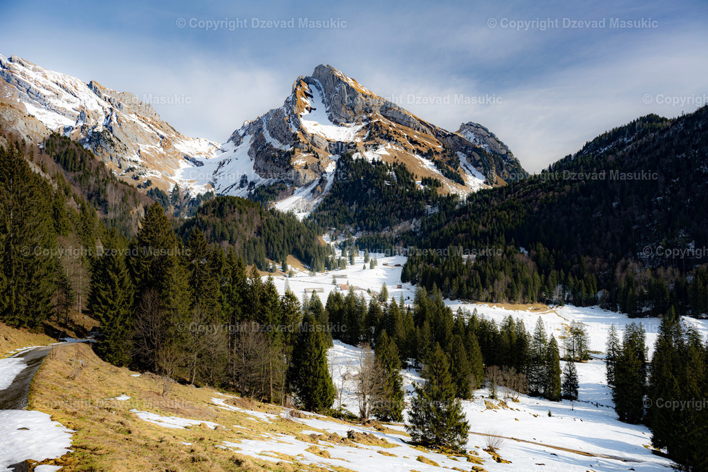 Gräppelensee | Der Gräppelensee in Alt St. Johann ist ein idyllischer Bergsee, eingebettet in die wunderschöne Landschaft des Toggenburgs. - Realisiert mit Pictrs.com