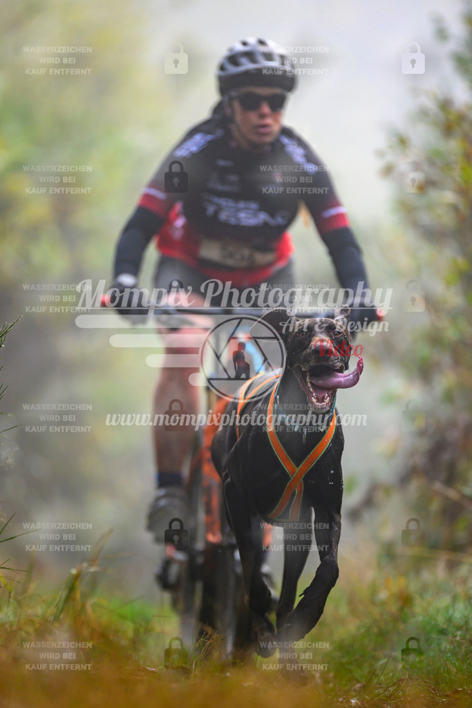 MompixPhotography_20TSB_E4_Bike-42 | PayLife