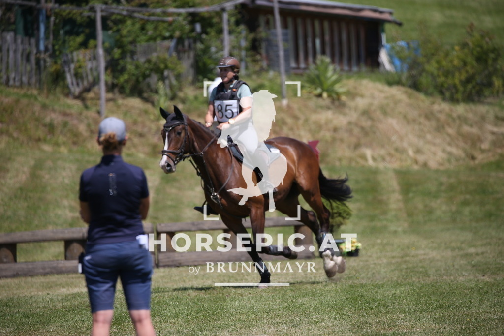 DL2Q1264 | Willkommen bei Brunnmayr - Design & Fotografie – Ihrem Spezialisten für Reitturniere und Pferdeveranstaltungen in Oberösterreich, Salzburg und Bayern! Seit über 17 Jahren sind wir leidenschaftlich dabei.