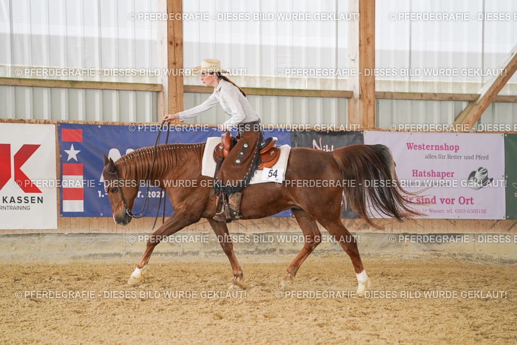 DSC01366 | Pferdegrafie