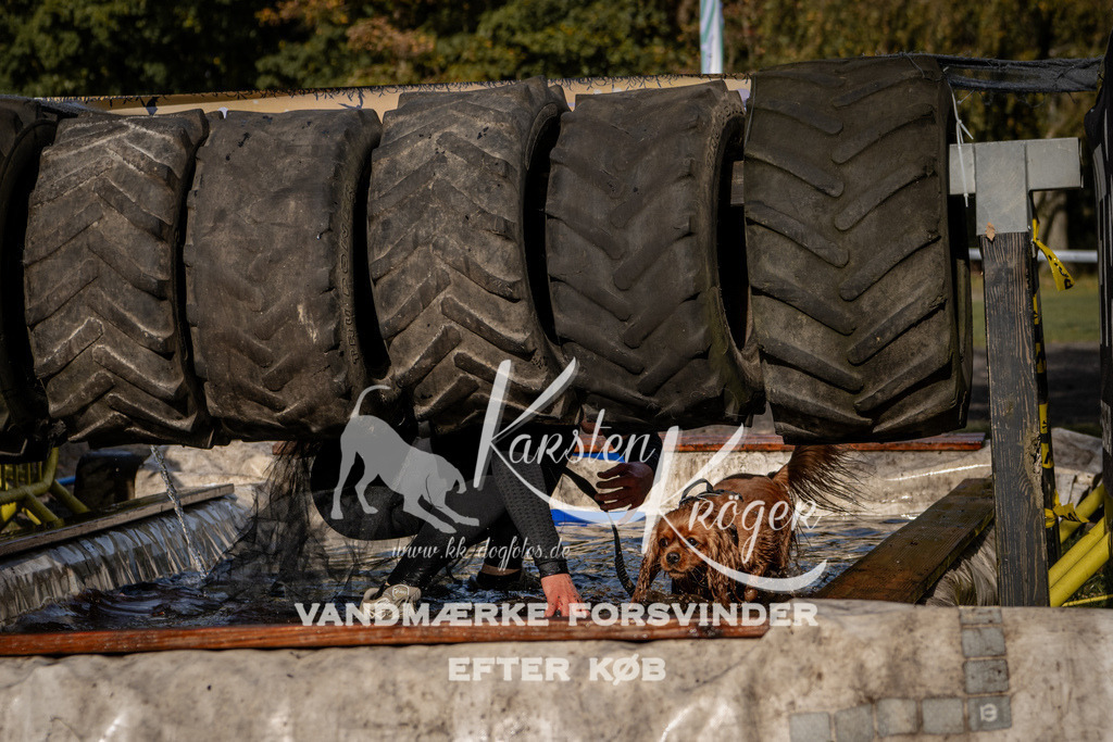 1346_ZZ92988 | kk-dogfotos