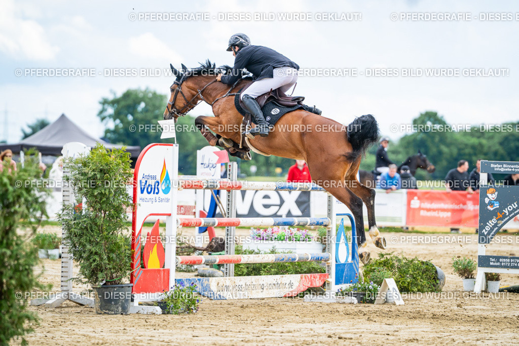 DSC06126 | Pferdegrafie