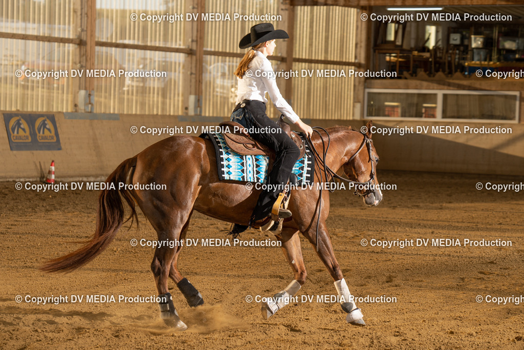 LAU02001 | dv-media-shop - Realisiert mit Pictrs.com