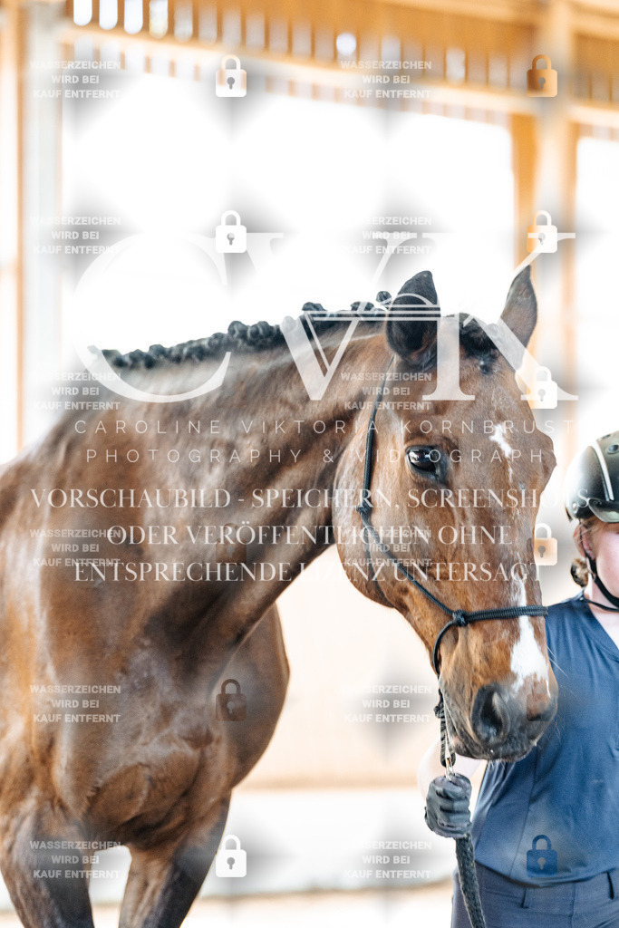 CK906463 | Turnierfotografie Pferdefotografie Trier Rheinland-Pfalz Pferdesport Reitsport Tierfotografie Sportfotografie Pferdevideo Pferdevideografie Equestrianvideography equestrianphotography  - Realisiert mit Pictrs.com
