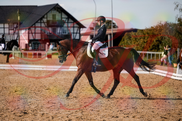 2026_10_03_Siefer-Hof_131209_Z63_75509806 | Professionelle Reitsport-, Turnier- und Eventfotografie von Robert Broda. Galerien mit ausgewählten und bearbeiteten Bildern direkt online ansehen und bestellen.