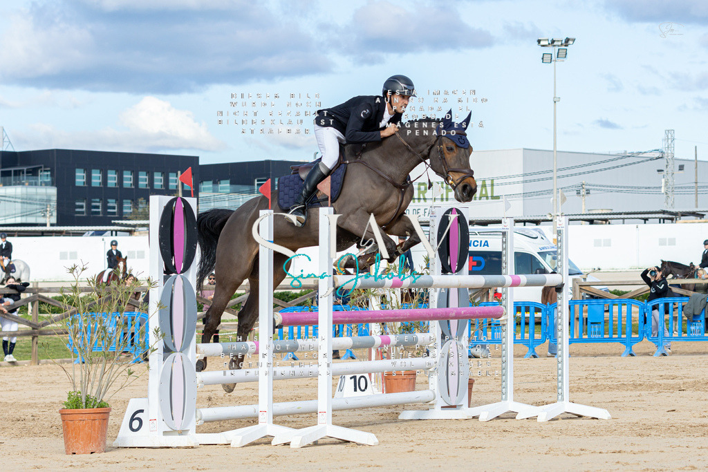 IMG_2056 | s-jay-photography - Realisiert mit Pictrs.com