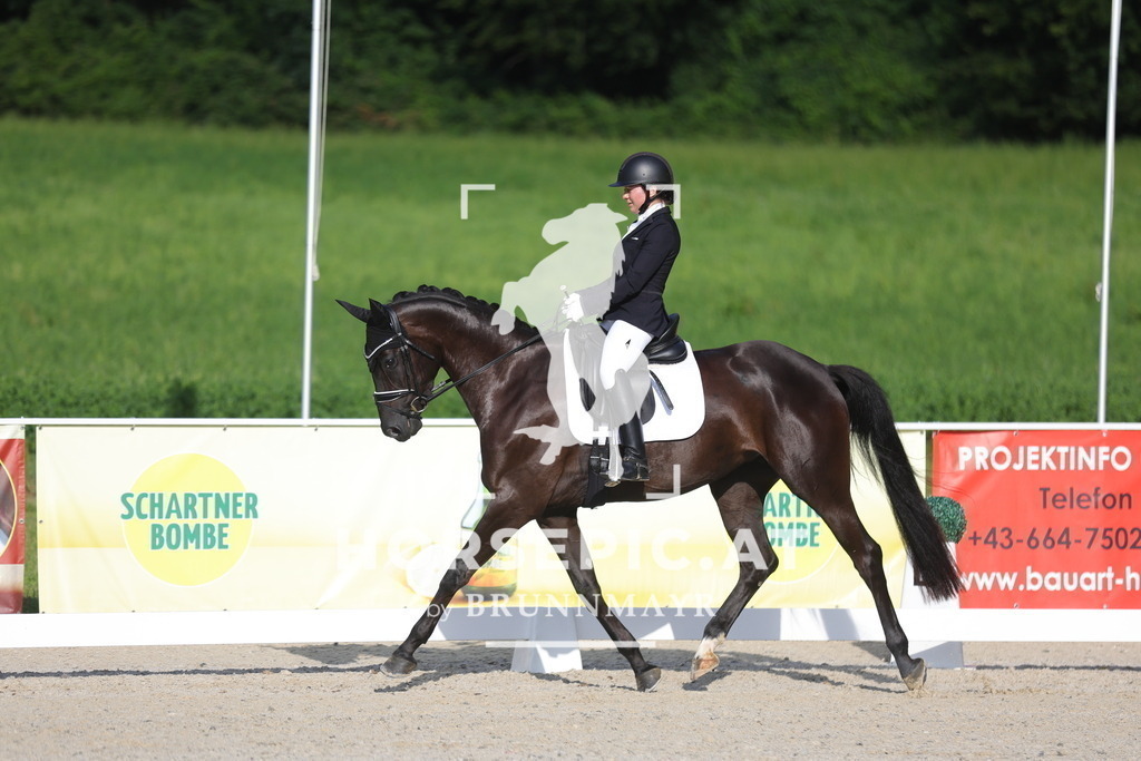 0P6A4243 | Willkommen bei Brunnmayr - Design & Fotografie – Ihrem Spezialisten für Reitturniere und Pferdeveranstaltungen in Oberösterreich, Salzburg und Bayern! Seit über 17 Jahren sind wir leidenschaftlich dabei.
