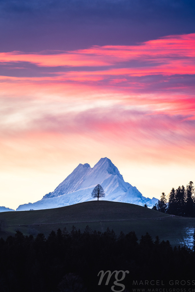 colorful morning sunrise in Emmental with a single tree on a hill in Emmental in front of Schreckhorn | Die ideale Geschenkidee für Naturliebhaber. Naturbilder von Marcel Gross Photography für ihr Zuhause in den verschiedensten Formaten und Materialien. - Realisiert mit Pictrs.com