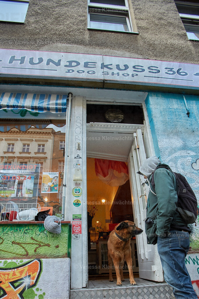 240323_Hundekuss36Bleibt_Hunderunde_43 | Vanessa Kleinwächter - Realisiert mit Pictrs.com