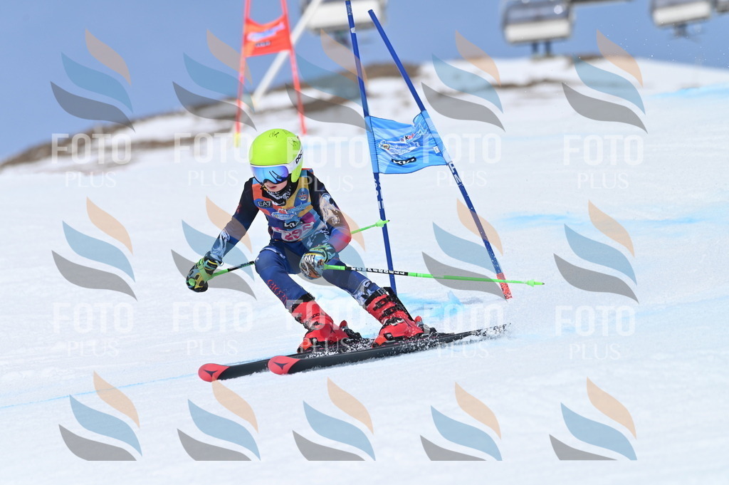 BGV_2698 | holidayphoto