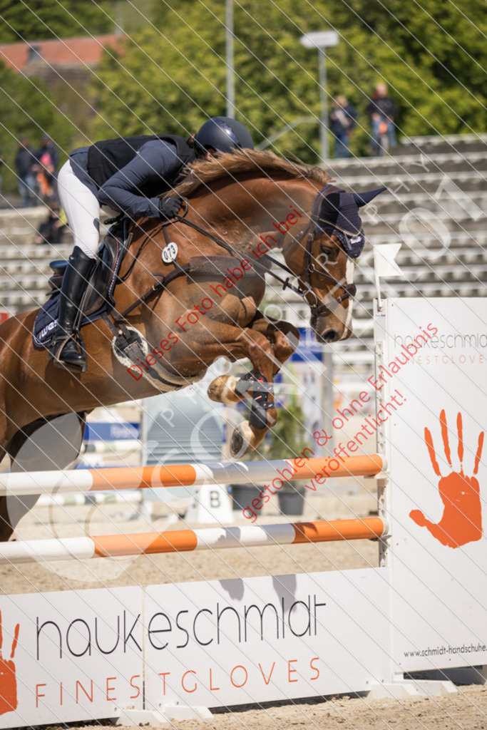 IMG_5392 | Sport-, Event- und Tierfotos in Profiqualität. Einfach auswählen, bestellen und herunterladen. Dein Moment – perfekt festgehalten.