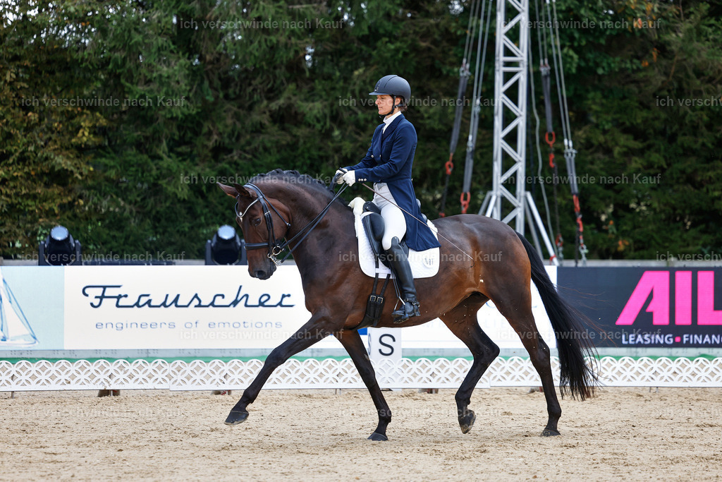 8_1-087-Klasse S_  -StoibPH-3834 | working equitationturnier fotograf videograf stoibphotography marixx film working equitation deutschland reitsport turnierfotografie eventfotografie equestrian events