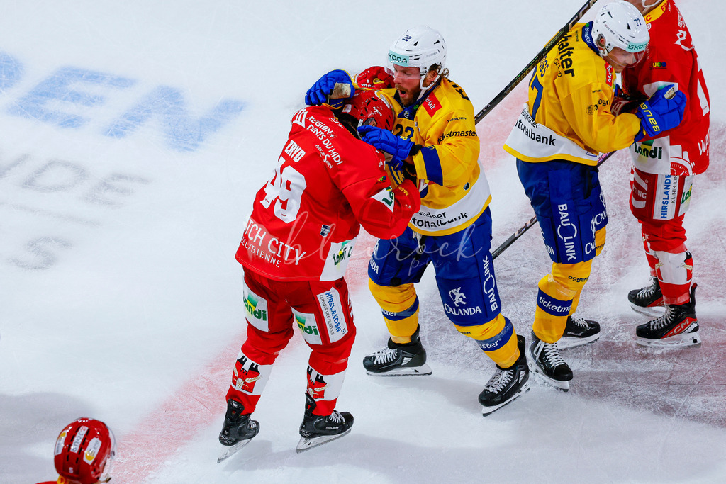 09112025_EHCB vs HCD_wb-1411 | Sportbilder, Sportfotograf, Hochzeits- und Eventfotografin, Flugshows, Portraits und Tiershooting, Aviation, Downhill, Nationalleague, Swissleague, International