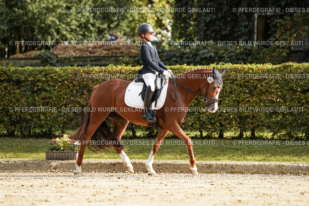 DSC05941 | Pferdegrafie