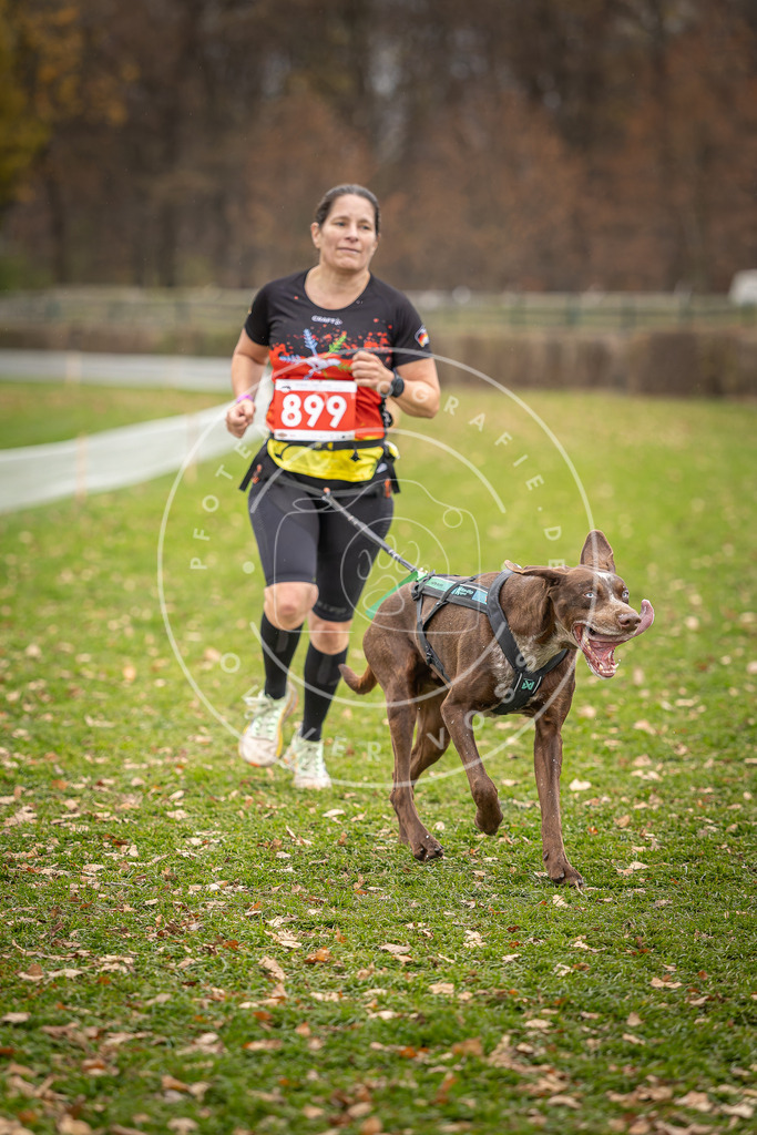 CaniXpix_DV3A6926 | Hundefotografie, Tierfotograf, Pfotenfotografie, Fotoshooting Hund, Hunde Portrait, Hundesport, Hundeportraits, Heideshooting, Hunde, Sportfotograf, Hundefotograf, Turnierhundsport, THS,  - Realisiert mit Pictrs.com