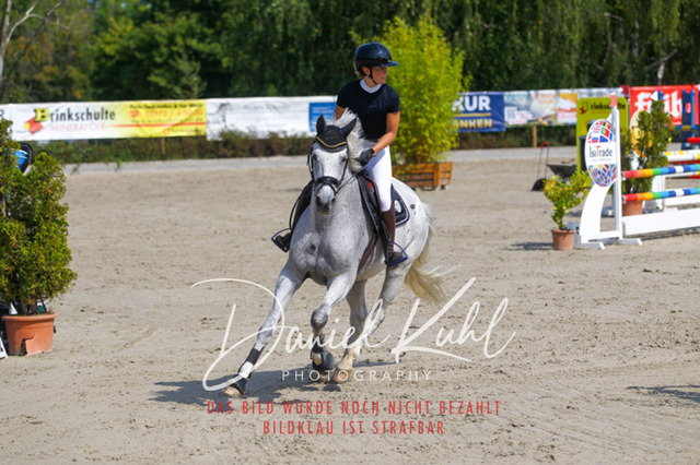 Gut Blee25_Amateuer Stilsprpfg Kl A_0281 | Turniersportfotografie; Pferdefotografie; Dressurfotografie