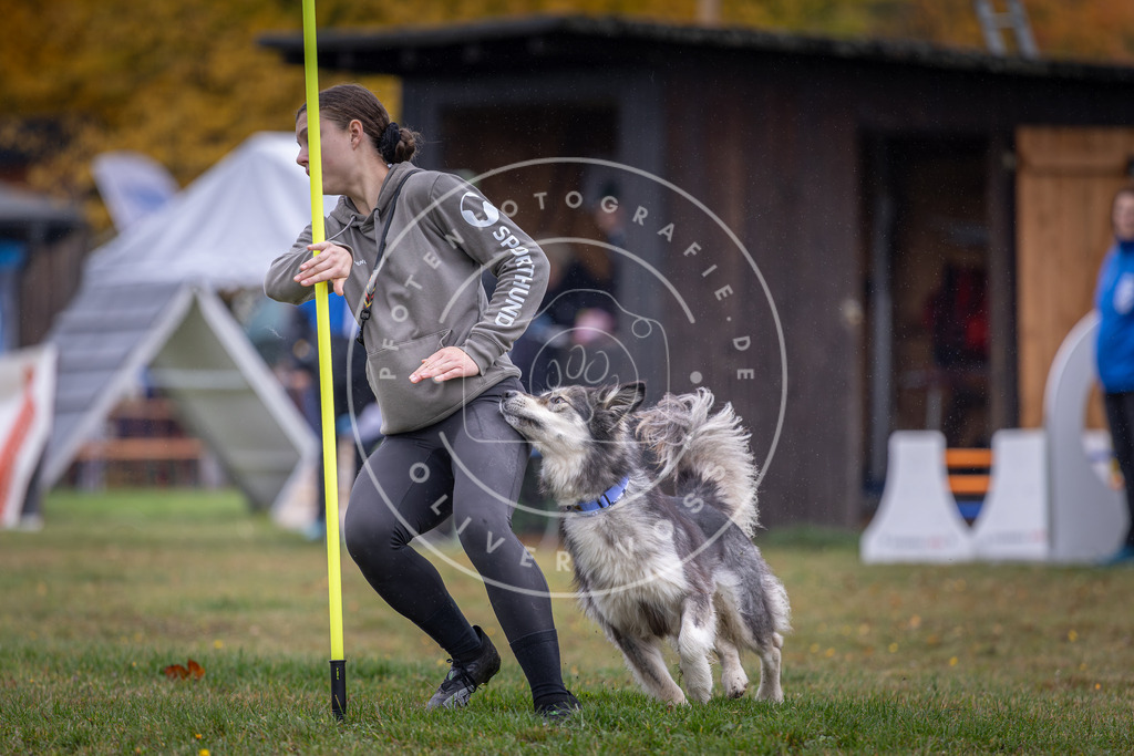 Pfotenfotografie_DV3A0653 | Hundefotografie, Tierfotograf, Pfotenfotografie, Fotoshooting Hund, Hunde Portrait, Hundesport, Hundeportraits, Heideshooting, Hunde, Sportfotograf, Hundefotograf, Turnierhundsport, THS,  - Realisiert mit Pictrs.com