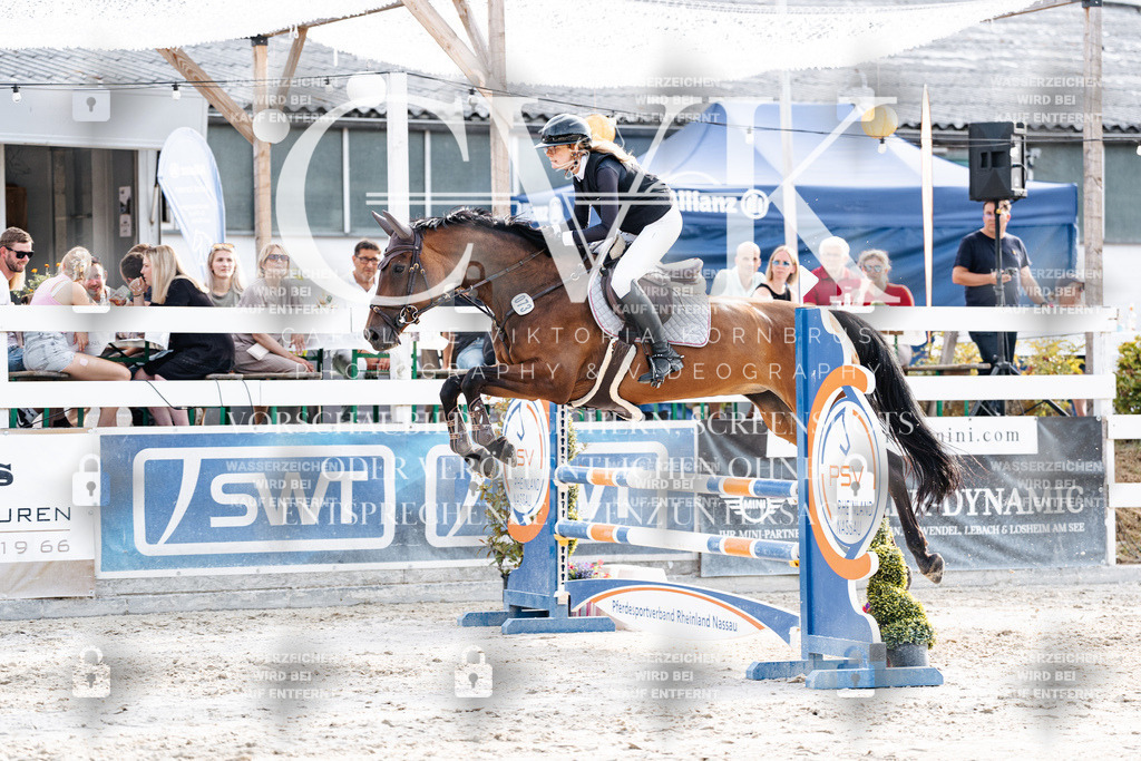 CK906764 | Turnierfotografie Pferdefotografie Trier Rheinland-Pfalz Pferdesport Reitsport Tierfotografie Sportfotografie Pferdevideo Pferdevideografie Equestrianvideography equestrianphotography  - Realisiert mit Pictrs.com