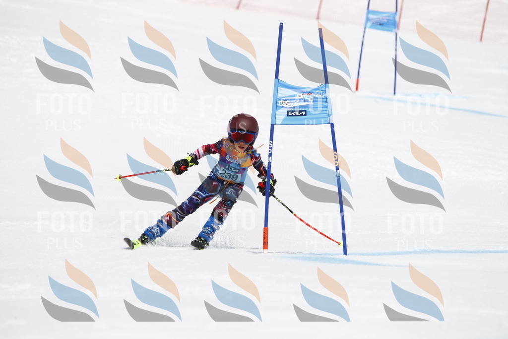 _U3G6073 | holidayphoto