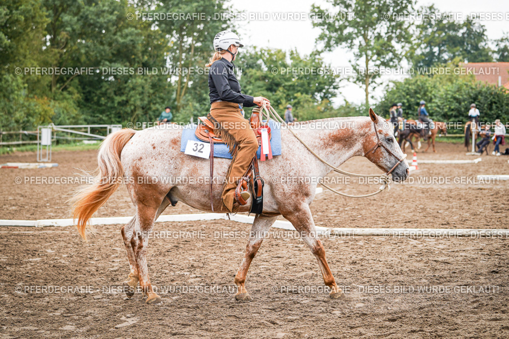 DSC04260 | Pferdegrafie