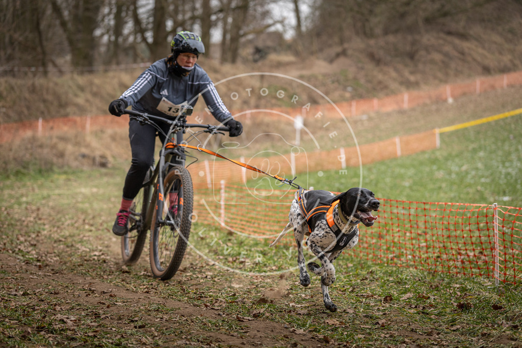Pfotenfotografie_DV3A6791 | Hundefotografie, Tierfotograf, Pfotenfotografie, Fotoshooting Hund, Hunde Portrait, Hundesport, Hundeportraits, Heideshooting, Hunde, Sportfotograf, Hundefotograf, Turnierhundsport, THS,  - Realisiert mit Pictrs.com