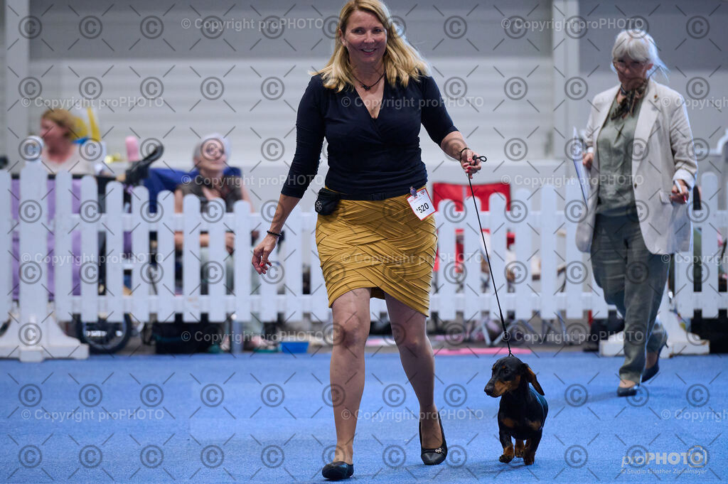 202406_ÖKV-IHA-Tulln24_DSC_3891 | proPHOTO - Realisiert mit Pictrs.com