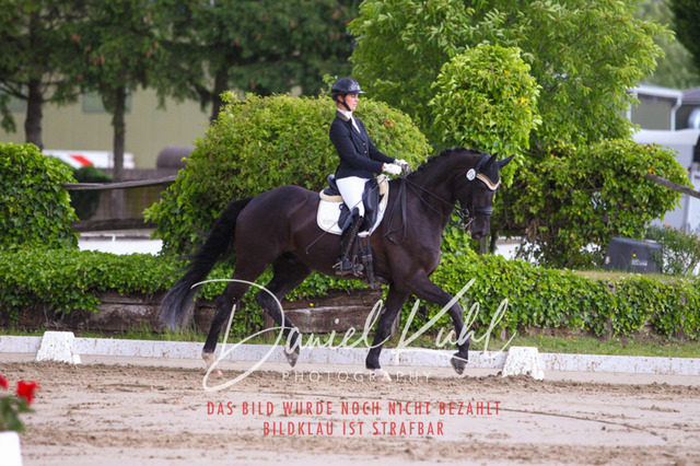 DKP40802 | Turniersportfotografie; Pferdefotografie; Dressurfotografie