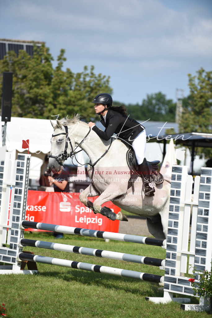 DSC_8910 | Pferde- und Turnierfotografie in Westsachsen. Pferdeportraits, Auftragszeichnungen und intuitive Kunst.