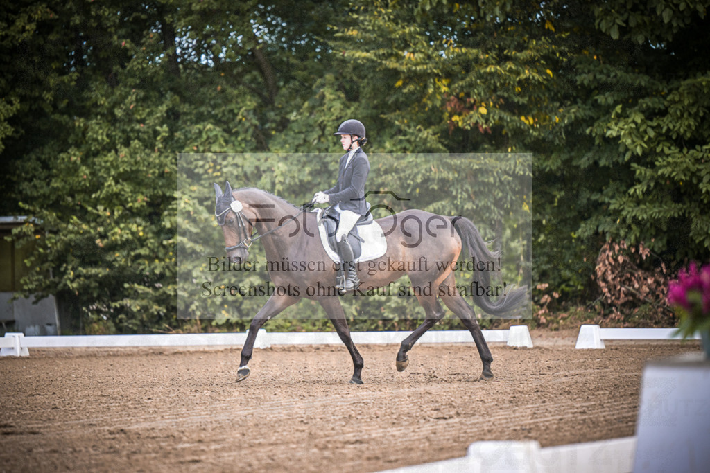 DOS_0181 | Entdecke hochwertige Reitturnierfotos von Foto Oger. Professionell, emotional und authentisch – jetzt Lieblingsmomente im Shop bestellen.Deutschlandweite Turnierfotografie. - Realisiert mit Pictrs.com
