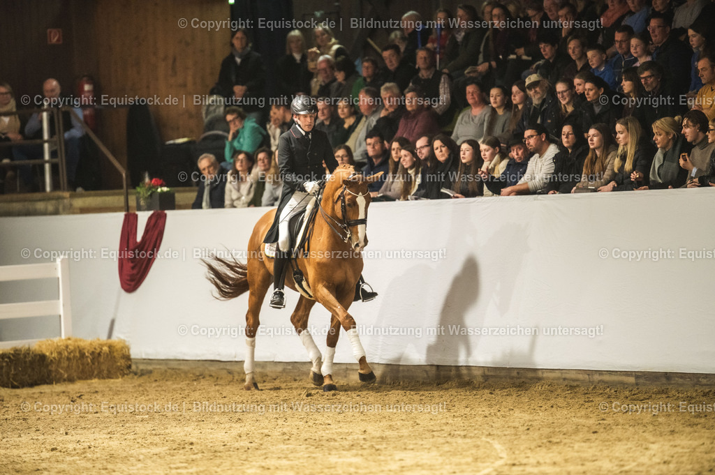 20240302_Hengstvorstellung_Marbach_TOMsPiC_0935 | equistock