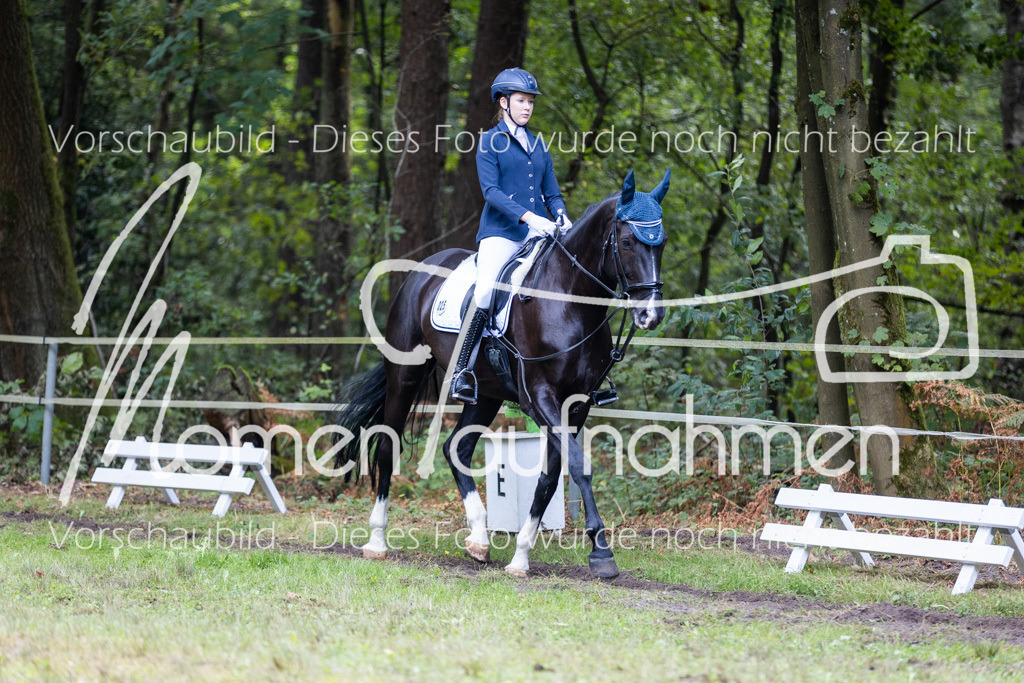 HB-Dressur-WB-100 | MomenTaufnahmen Pferdesportfotos