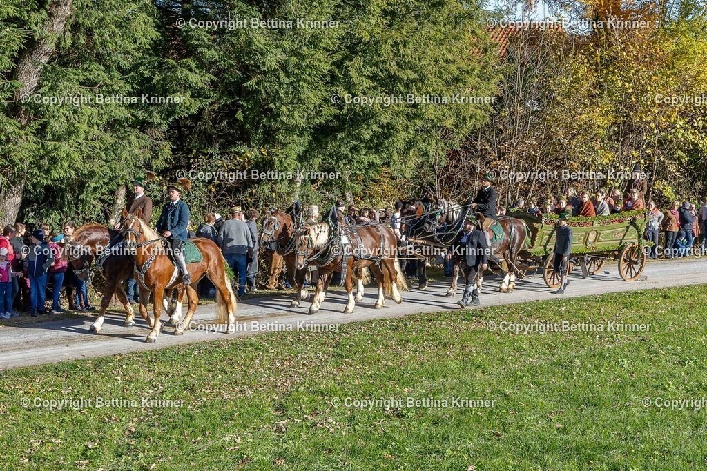 LBT25-782 | foto-bettina-krinner - Realisiert mit Pictrs.com