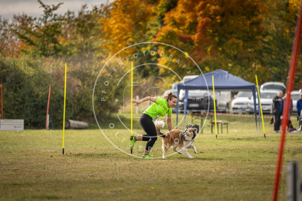 Pfotenfotografie_DV3A7171 | Hundefotografie, Tierfotograf, Pfotenfotografie, Fotoshooting Hund, Hunde Portrait, Hundesport, Hundeportraits, Heideshooting, Hunde, Sportfotograf, Hundefotograf, Turnierhundsport, THS,  - Realisiert mit Pictrs.com