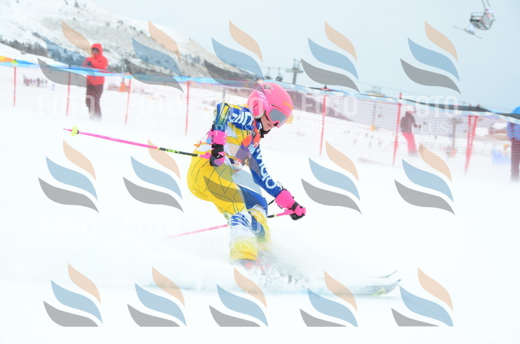 DSC_1027 | holidayphoto