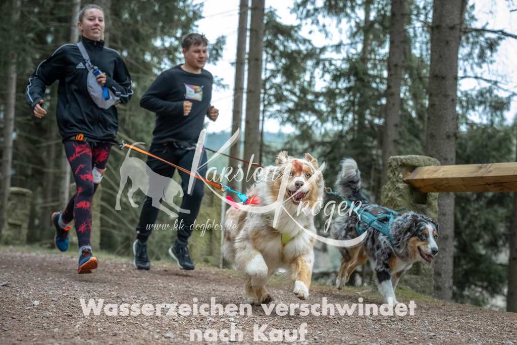 0815_ZZ90688 | kk-dogfotos