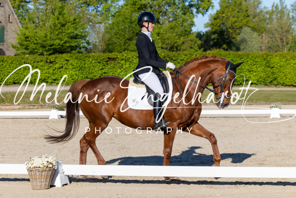 7I8A8342 | melanie-engelhardt-photography - Realisiert mit Pictrs.com