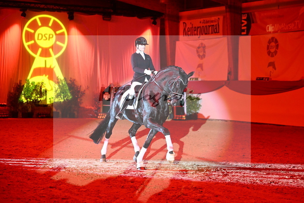 DSP Dream Royal_Arturi_2255183 | hf-fotografie - Realisiert mit Pictrs.com