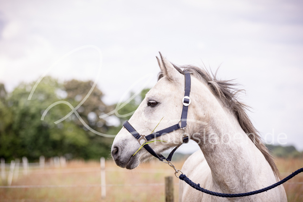 846A0869 | fotosleben - Realisiert mit Pictrs.com