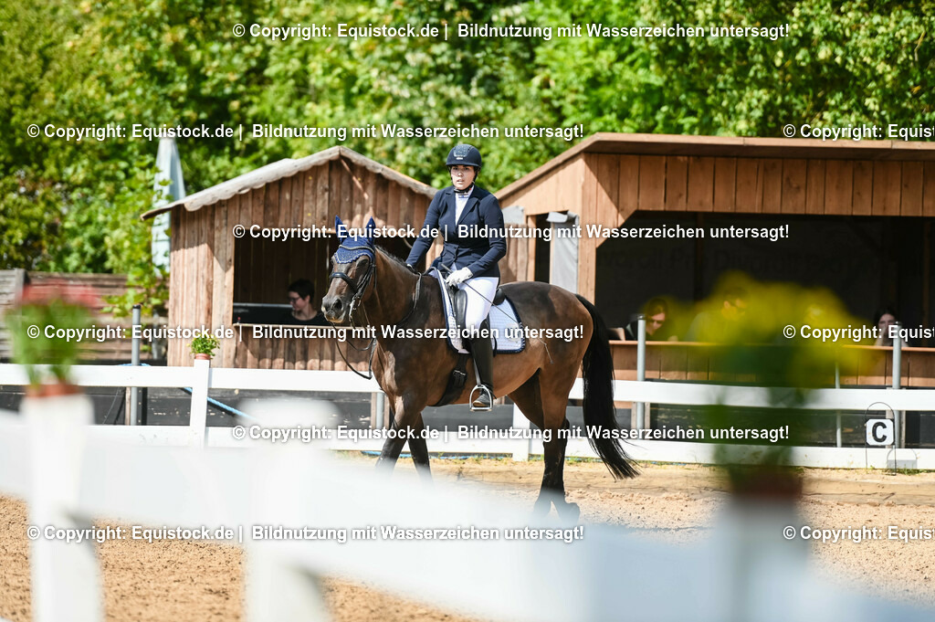 20230716_01_Dressurprüfung Kl.M_0308 | equistock