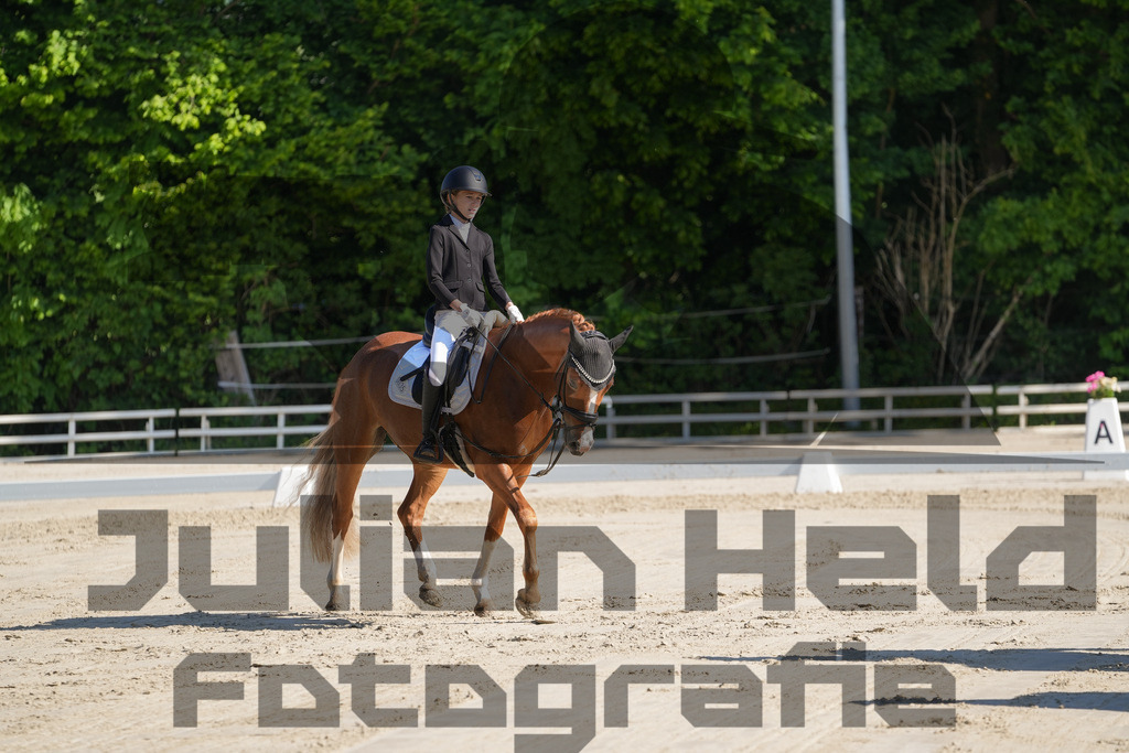 DSC02928 | Julian Held Fotografie - Realisiert mit Pictrs.com