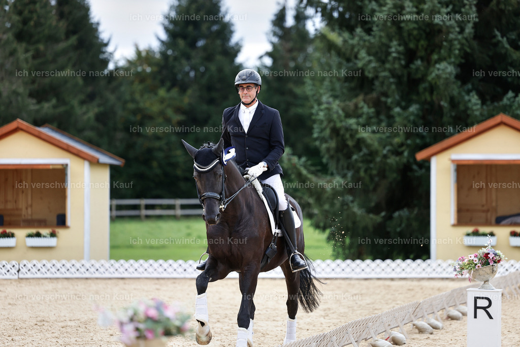 3-Siegerehrung-Dressur M_-StoibPH-2589 | working equitationturnier fotograf videograf stoibphotography marixx film working equitation deutschland reitsport turnierfotografie eventfotografie equestrian events