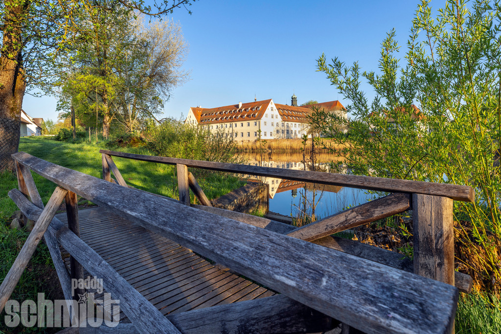 PS-Wald-2026-02 | Entdecke die größte Bildgalerie der Region mit Fotografien aus dem Allgäu, der Bodenseeregion, Oberschwaben, dem Donautal und der Schwäbischen Alb. Landschaften, Luftaufnahmen und Reisefotografie als Wandbild und Fotokunst. - Realisiert mit Pictrs.com