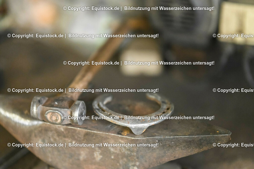 20231116_Hufschmied_0026_TOMsPiC | Foto: Thomas Hartig