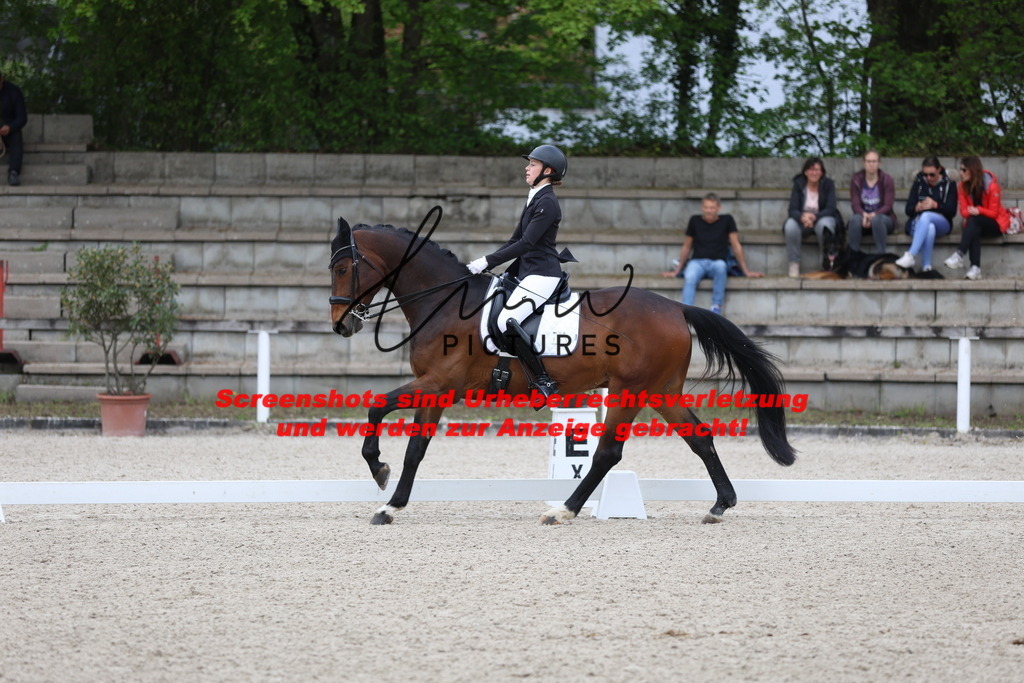 A40A4138 | lmwpictures - Realisiert mit Pictrs.com