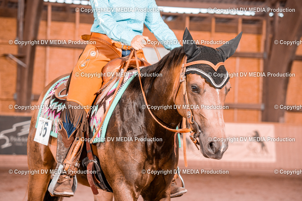 NE300490 | dv-media-shop - Realisiert mit Pictrs.com