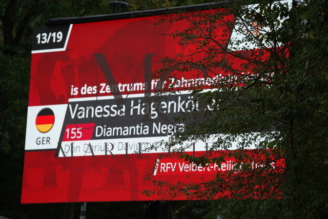 VAN03979 | Pferdefotografie in Köln und Umgebung – emotionale Pferdeshootings, Turnierfotografie und besondere Momente zwischen Pferd und Mensch. - Realisiert mit Pictrs.com